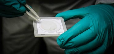 Difficulties Meeting Cleanliness Specifications: An In Situ Analysis